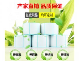 E邮宝专用标签 物流快递面单打印纸 电子面单打印纸
